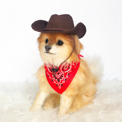 Western Cowboy Hat & Scarf