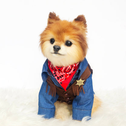 Cowboy Fringe Vest