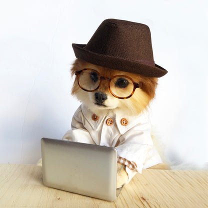 Brown Fedora