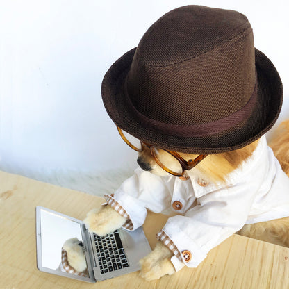 Brown Fedora