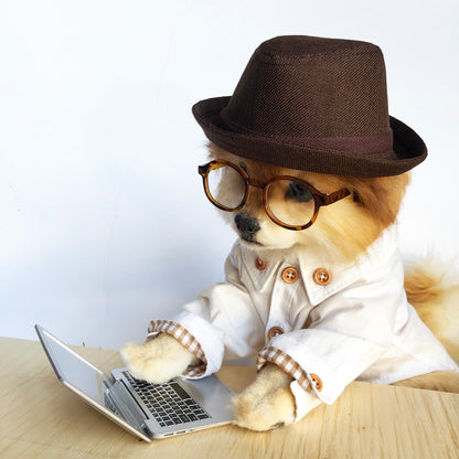 Brown Fedora