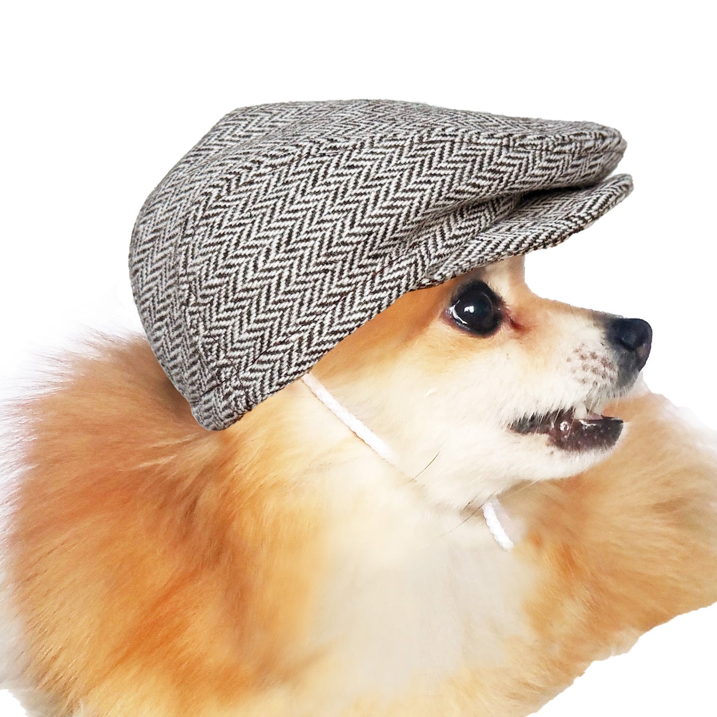 Brown & White Herringbone Ivy Flat caps