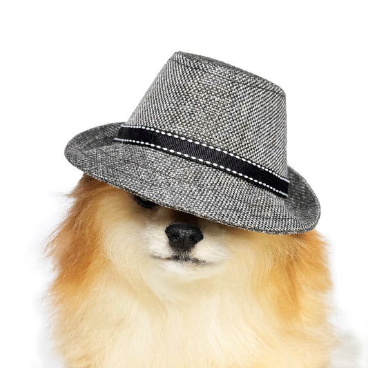 Gray Fedora