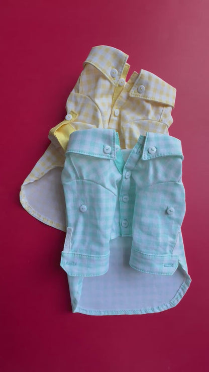 Gingham roll up sleeve shirts