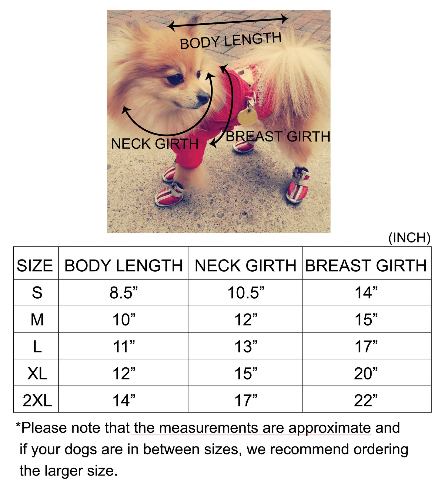 2 in 1 Handmade Cable Knit Dog Sweater with Plaid Collar