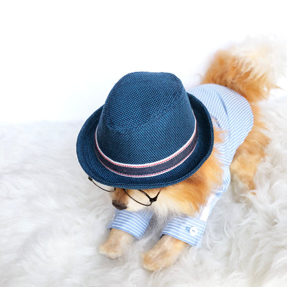 Blue Fedora